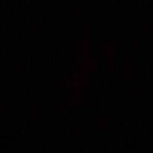 Meet your Posher, Ava